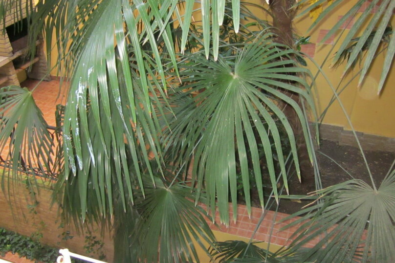 Гостиница Волна Утес-46