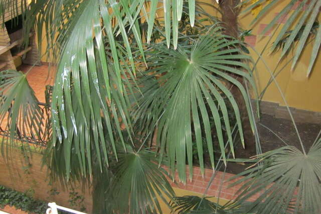 Гостиница Волна Утес-45